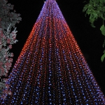 Cooles Lichterspektakel unter Auckland's größtem Weihnachtsbaum