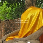 Buddhafigur in Ayutthaya / Thailand