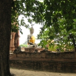 Wat Mahathat in Ayutthaya / Thailand