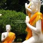 Buddhagruppe in Ayutthaya / Thailand