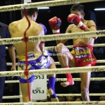 Muay Thai / Thai Kickboxen im Lumphini Stadium in Bangkok