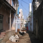 Straßenszene in Dwarka / Gujarat / Indien