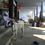 Der Busbahnhof von Porbandar / Gujarat / Indien