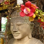 Buddha mit Magnolie im Haar