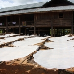 Reisplatten trocknen in der Sonne bei Phonsavan / Laos