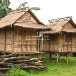 Dorf bei Phonsavan / Laos
