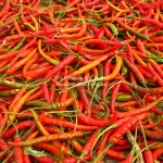 Hot Red Chilli