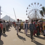 Das Treiben auf der Camel Fair in Pushkr