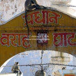 Affen am Pushkar See