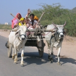 Indische Straßenverhältnisse