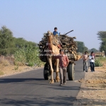 Indische Straßenverhältnisse