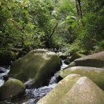 Im Mt Kinabalu National Park in Sabah / Borneo