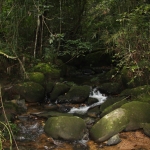 Im Mt Kinabalu National Park in Sabah / Borneo