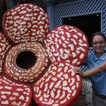 Auf der Suche nach der berühmten Rafflesia in Sabah / Borneo