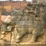 Elefanten Relief an der Elephant Terrace