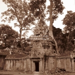 Eingewachsener Ta Phrom Tempel in Siem Reap / Cambodia